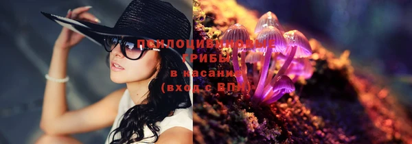 винт Армянск