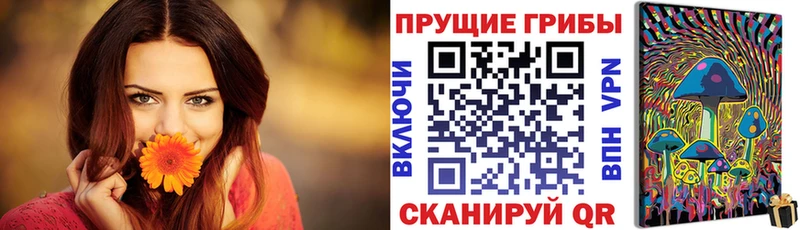 ОМГ ОМГ tor  Бабушкин  Псилоцибиновые грибы ЛСД  где купить наркоту 